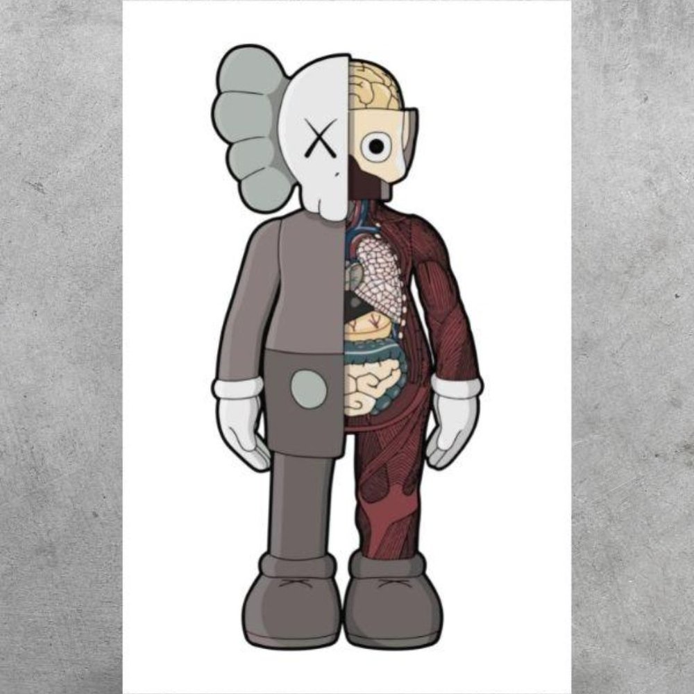 Kaws Companion Disconnected